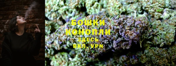 дживик Тихвин