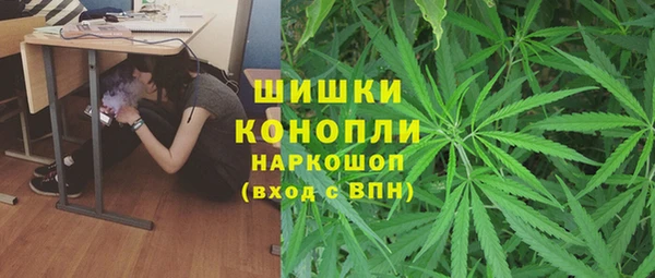 дживик Тихвин