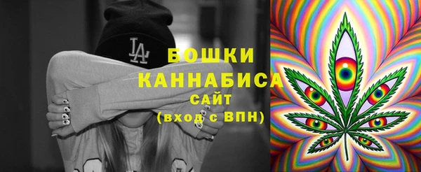 дживик Тихвин