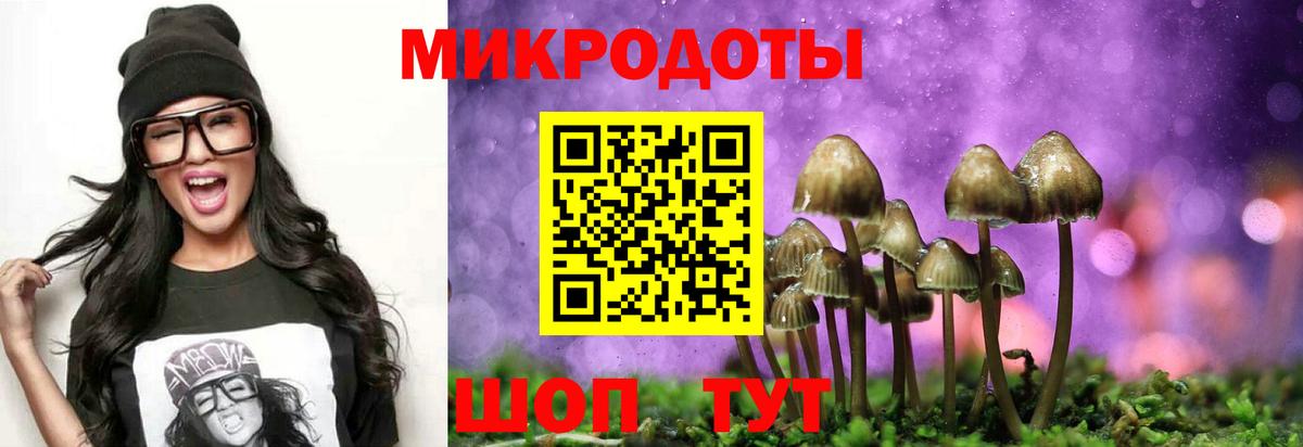 Галлюциногенные грибы Psilocybine cubensis  Галлюциногенные грибы ЛСД  Вход с VPN  Усть-Илимск 